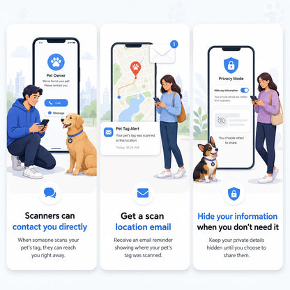 Katthalsband med AirTag-hållare, QR-bricka och reflexdetaljer
