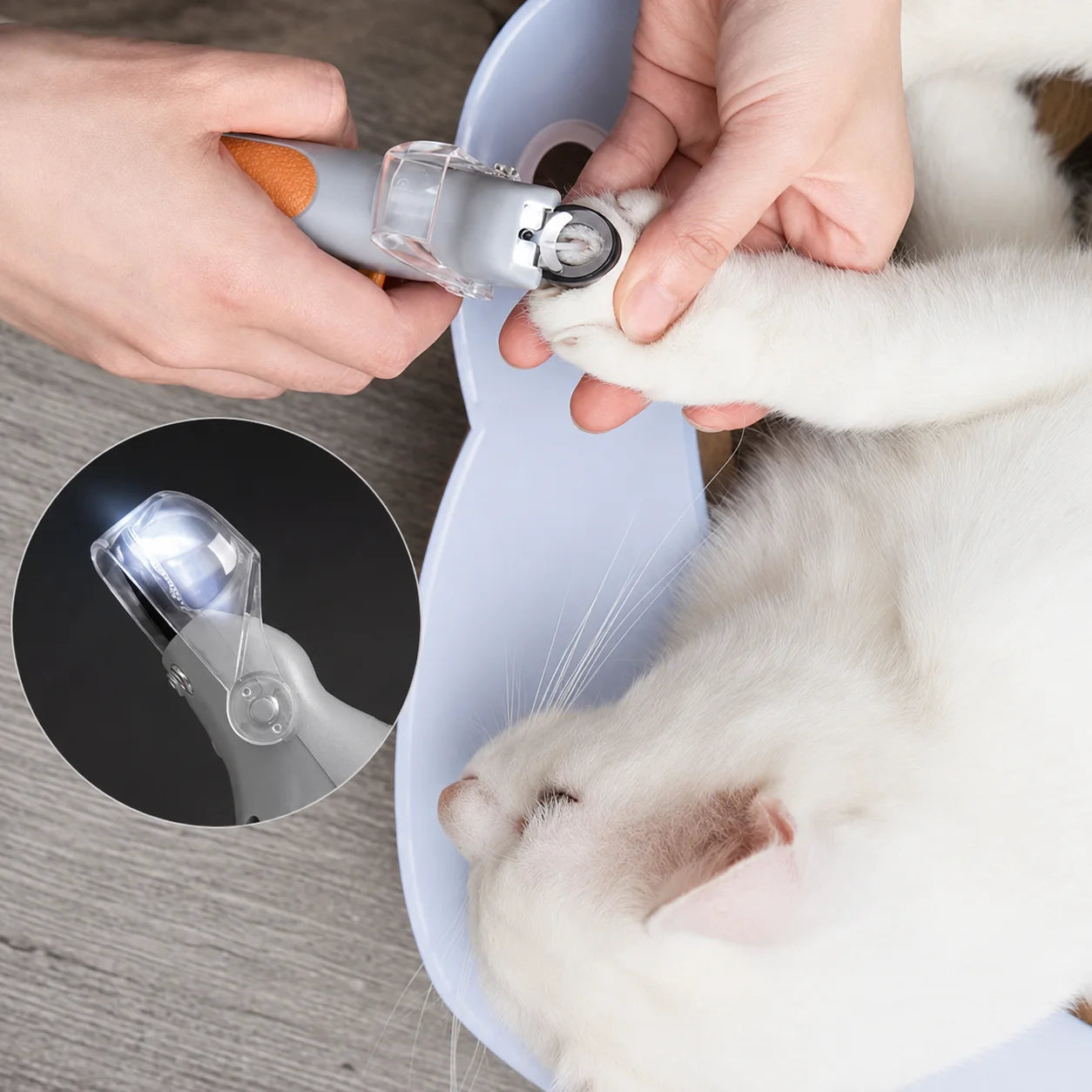 Klotång med LED-ljus för Hund och Katt