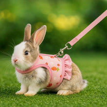 Kanins sele med koppel