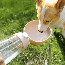 Portabel Vattenflaska för Hund