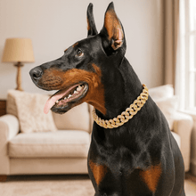 Guldfärgad Hundkedja – Dekorativt Halsband för Hund