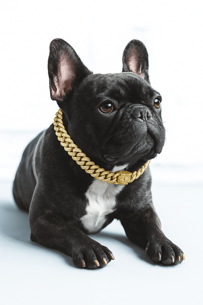 Guldfärgad Hundkedja – Dekorativt Halsband för Hund