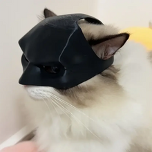 BatCat-mask för katt
