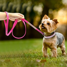 Glittrigt Hundhalsband med Strass – Justerbart Halsband för Små Hundar