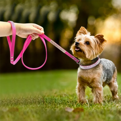 Glittrigt Hundhalsband med Strass – Justerbart Halsband för Små Hundar