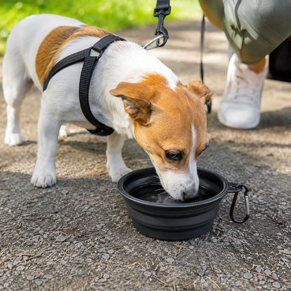 Hopfällbar Reseskål för Hund – Mat- och Vattenskål med Karbinhake