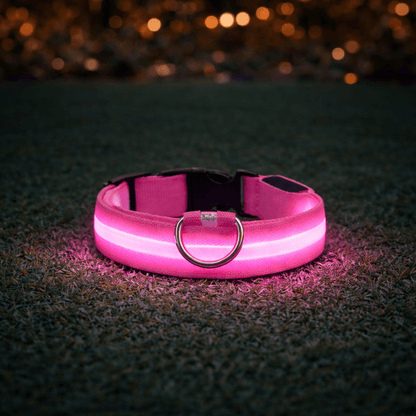LED Halsband